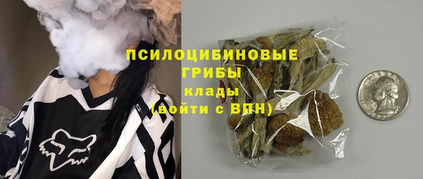 прущие грибы Богородск