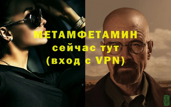 прущие грибы Богородск