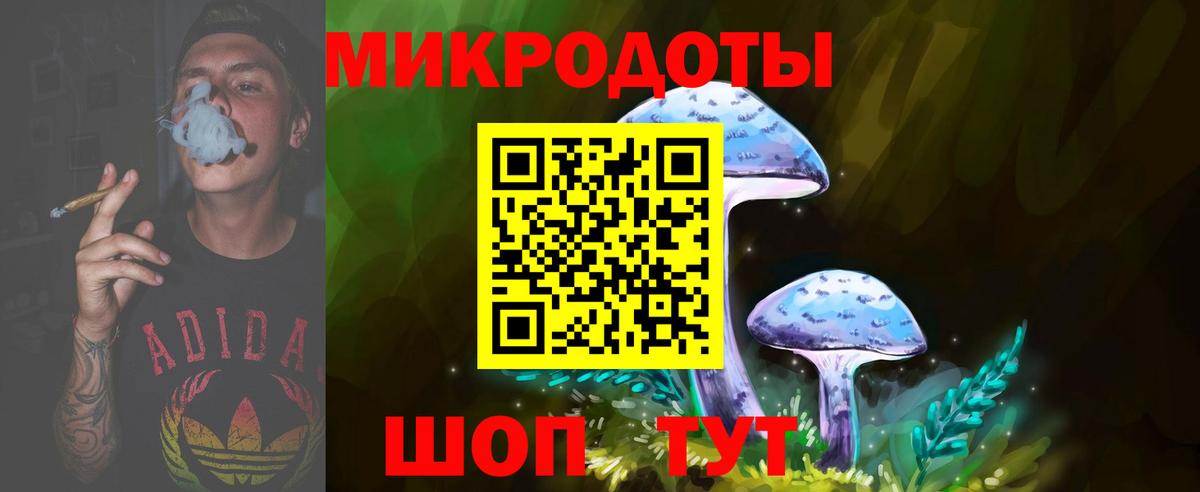 Псилоцибиновые грибы прущие грибы Вязники